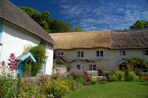 Georgeham, England - June 22, 2009: A group of pretty traditional English thatched cottages in the North Devon village of Georgeham, near Croyde