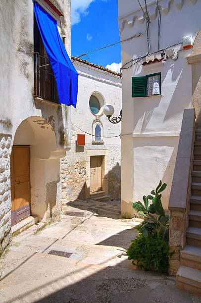 istock Mr Alleyway. Minervino Murge. Apulia. Italy. 530857655