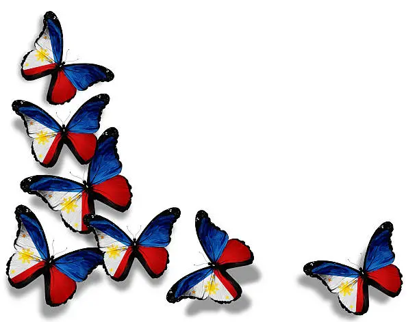 Philippine flag butterflies, isolated on white background