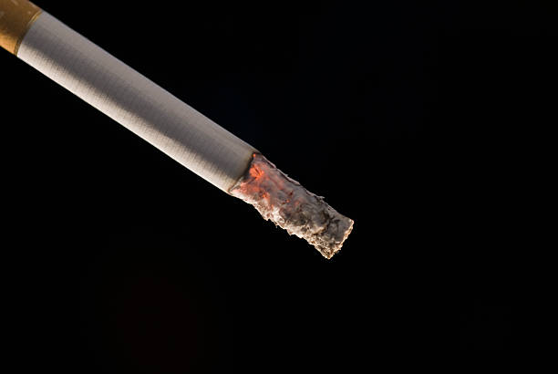 istock Close-up of a cigarette with ash 530862301