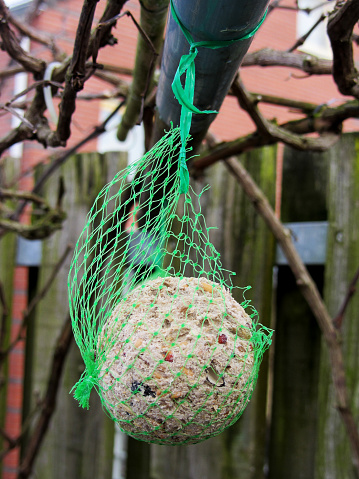 Bird food, fat globule, winter.