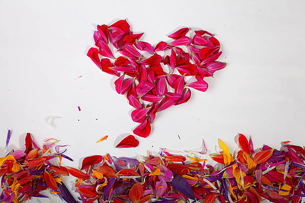 istock flying red petals, flowers lightness concept 530864551