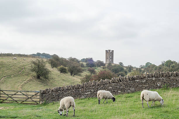istock sheep in front of Broadway Tower 530865523