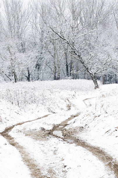 istock winter landscape with country road 530865693