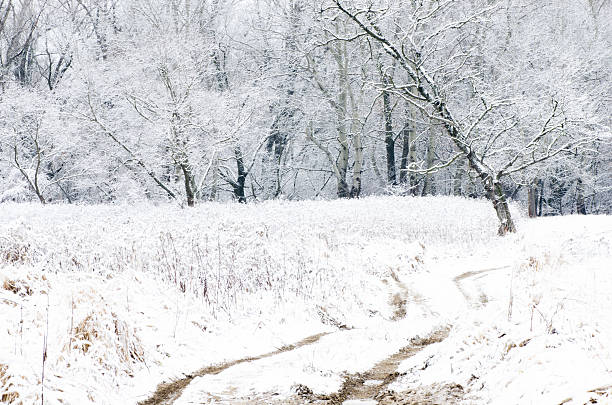 istock winter landscape with country road 530866093