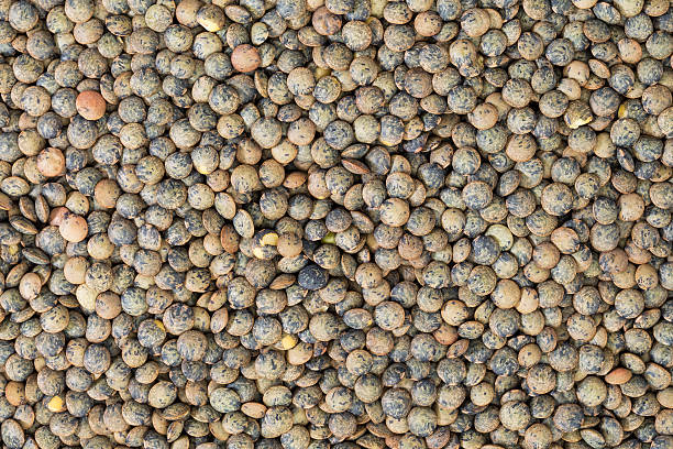 istock French green lentils 530871315
