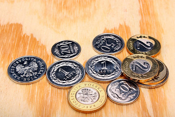 istock Polish money coins 530871819