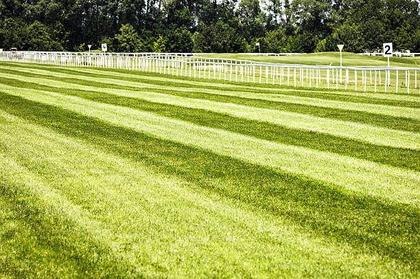 istock horseracing track 530872267