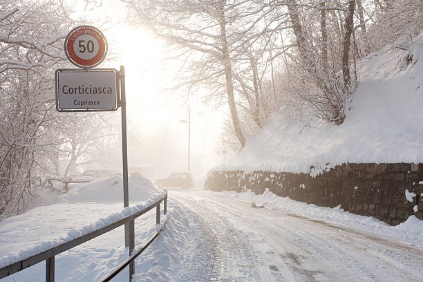 istock winter in south switzerland 530873487
