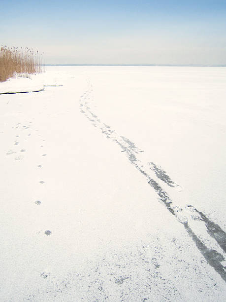 orme sulla congelato lago chiemsee - non urban scene landscaped winter snow foto e immagini stock