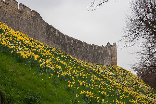 istock York England, Surrounding Wall 530875179