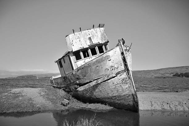 verlassenes schiff point reyes - point reyes national seashore northern california beach california stock-fotos und bilder