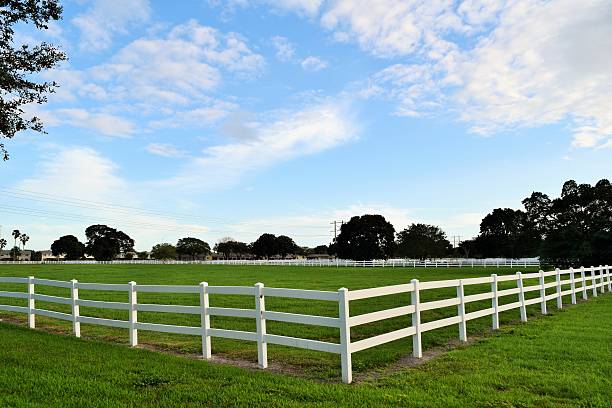 istock Florida Picket Fence 530876855