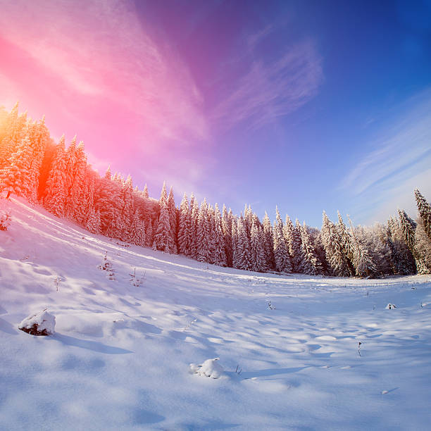 istock antastic blue sky and snow-covered trees in the mountains 530877459