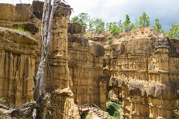 istock canyon in national park 530878195