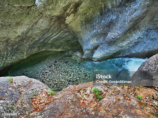 Turquoise Canyon Stream Stock Photo - Download Image Now - 2015, Animal Wildlife, Austria