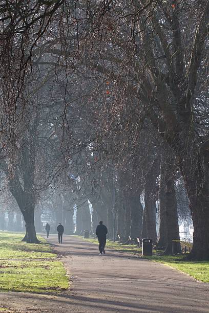 istock Joggers in the park 530883849
