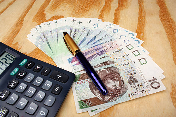 istock Polish money salary 530884299