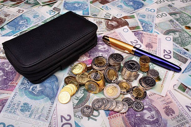 istock Polish money salary 530884601