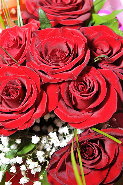 istock Red rose flowers bouquet background. 530884717