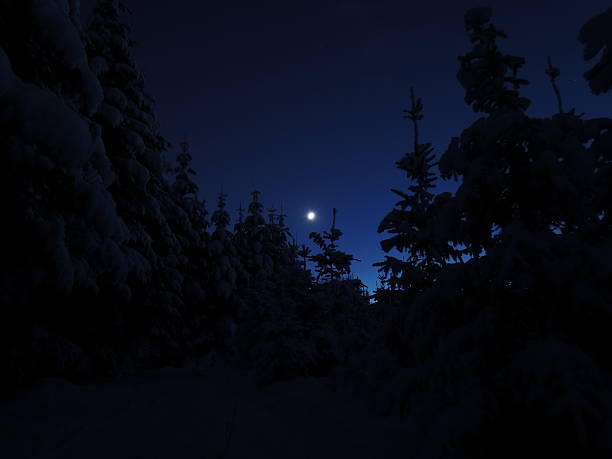 istock Moonlit winter wonder land 530884881