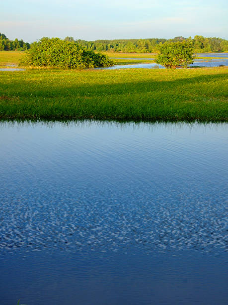 istock lake view and water scape 530885307