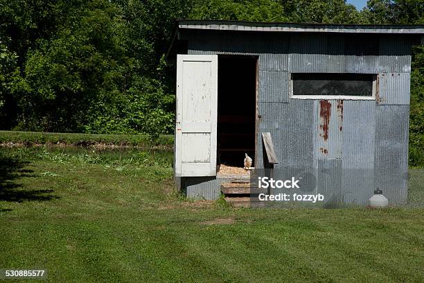 Chicken Coop Stock Photo - Download Image Now - Chicken Coop, Agriculture, Architecture
