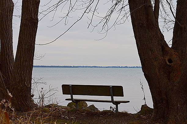 istock Breathtaking Lake View 530885951