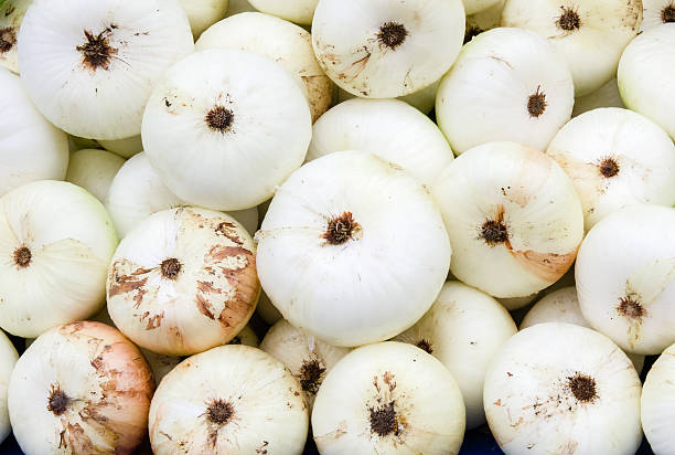 White onions on display