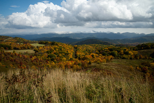Mountain ridge covered with terracotta forests and vivid yellowed trees under grey cloudy sky on gloomy autumn day panorama view