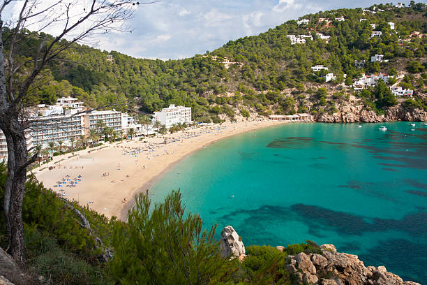 istock Cala San Vicente In Ibiza, Spain 530887567