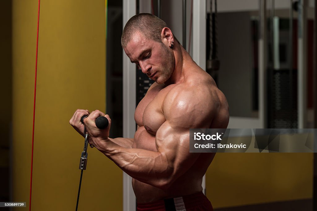 Biceps Exercise Young Bodybuilder Doing Heavy Weight Exercise For Biceps Abdominal Muscle Stock Photo