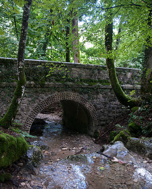 istock France Savoie forest walks 530889809