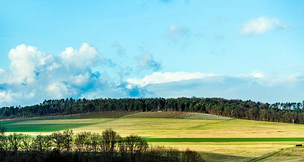istock landscape at Wertheim 530890725