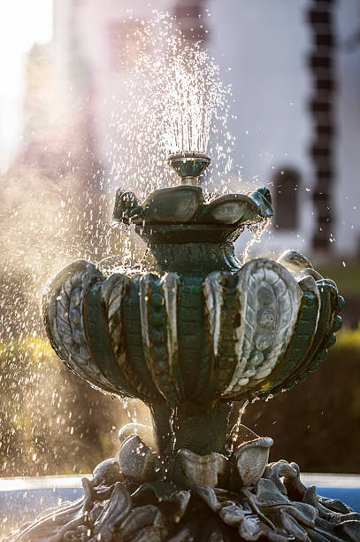 Water fountain