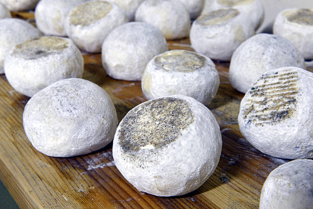 istock well ripened goat and ewe cheeses 530904037