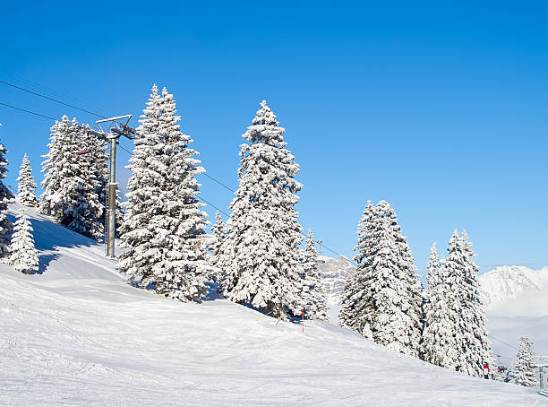 istock Winter in the alps 530904735