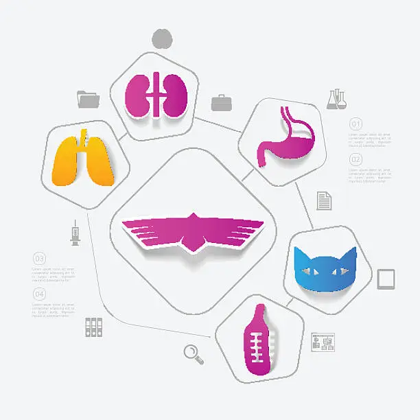 Endocrine Sticker Kostenlose endocrine system flow chart Vektorgrafiken & Illustrationen ...