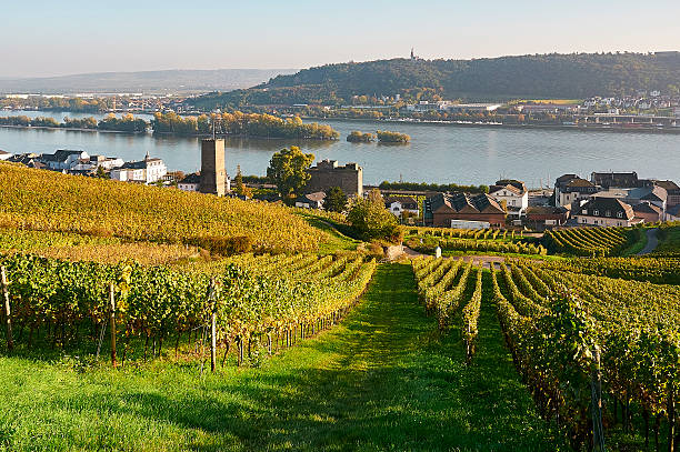 istock Rudesheim and the Rhine in Germany 530905483