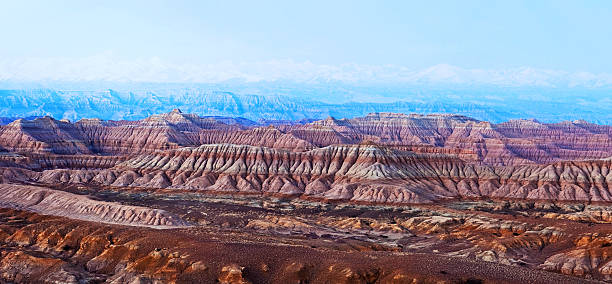 istock Earth Forest National Geopark in Tibet 530905731