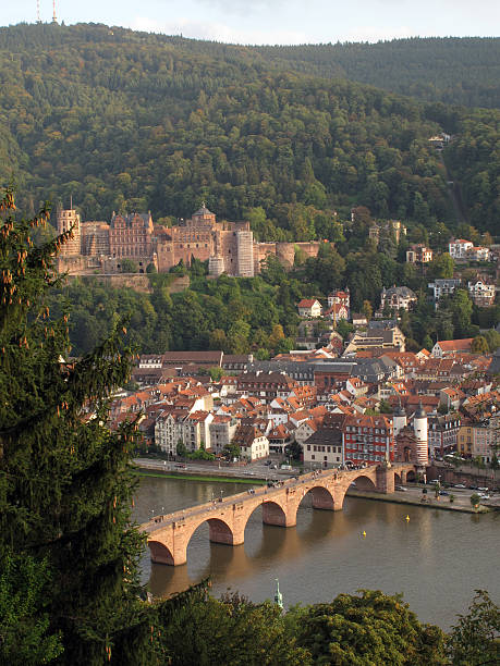 istock Heidelberg Castle and the Old Bridge (Alte Bruecke) 530907287