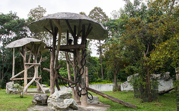 istock the log pavilion for animal climbing 530907793