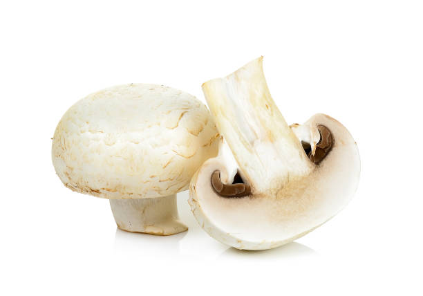istock Champignon mushroom isolated on white background 530917750
