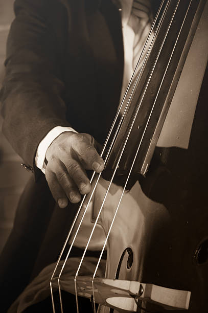 istock musician playing double bass. 530918027