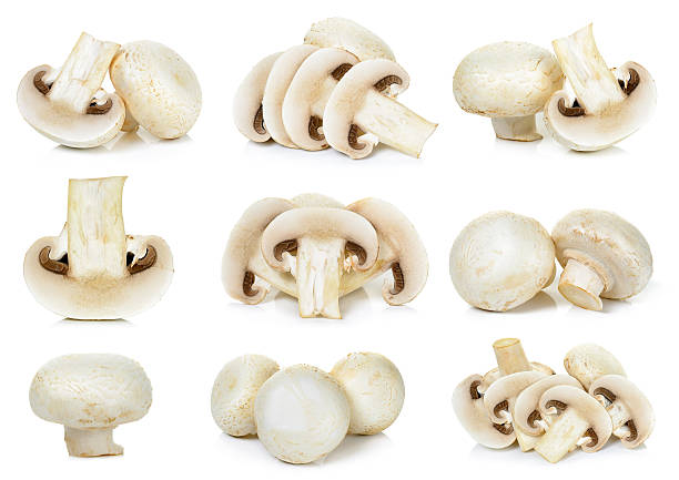 istock Sliced Champignon mushroom isolated 530918200