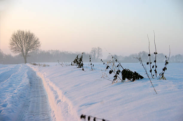 Country in the winter with tire track
