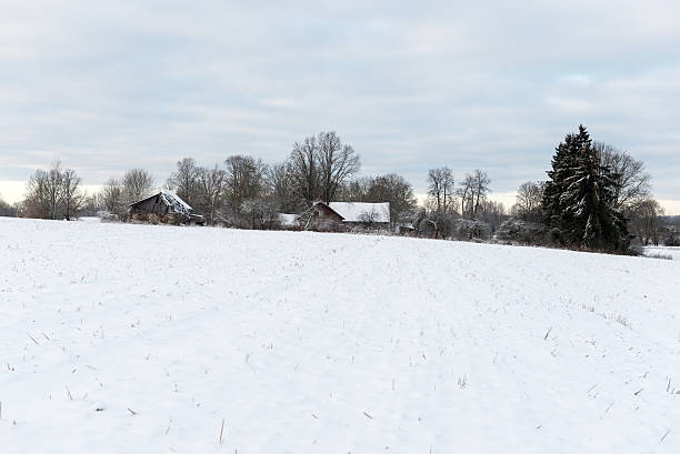 istock rural cottage in winter in countryside 530919101