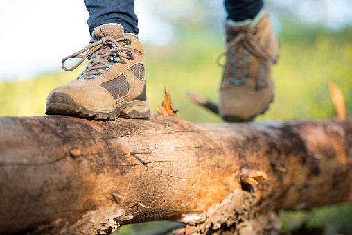 Close up outdoor shoes of a woman hiker walking on wood log (front view).