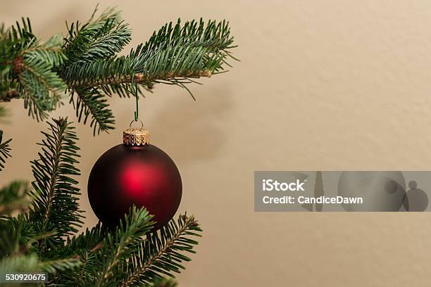 Christmas Ball Stock Photo - Download Image Now - Branch - Plant Part, Celebration, Christmas