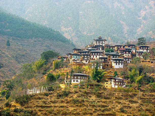 istock Hillside town in Bhutan 530924222